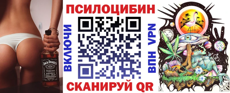 продажа наркотиков Курган Галлюциногенные грибы Psilocybine cubensis